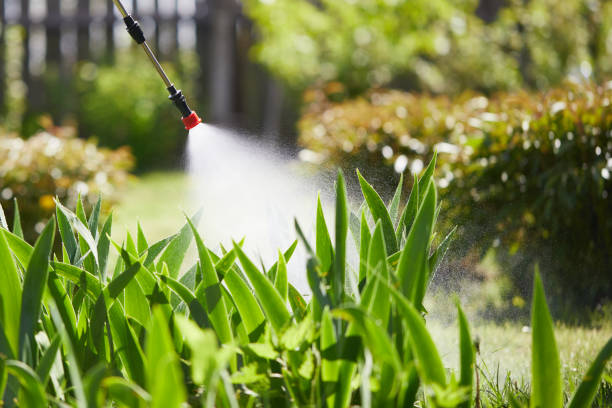 24/7 Emergency Ant Control experts in St. Francisville, LA